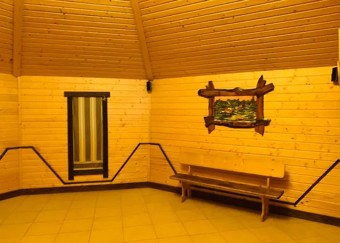 D&t Iltsi